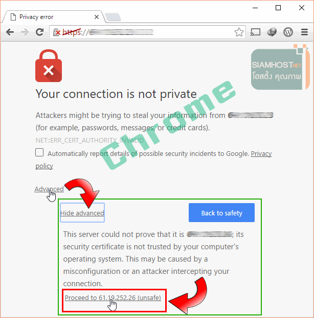 Hosting Domain 