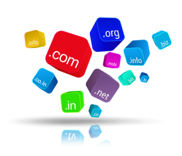 Web Hosting Domain registration